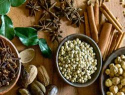 Kuatkan Jalur Rempah Nusantara Sebagai Warisan Dunia, UGM Luncurkan Tim Kosmopolis