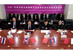 Dosen UP45 Mengikuti Loka Karya Energi Terbarukan Level Internasional