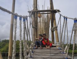 Blue Carbon, Kekayaan Alam Indonesia yang Jarang Diketahui