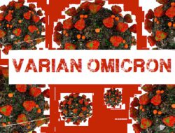 Begini Langkah Pemda DIY Antisipasi Penyebaran Varian Omicron