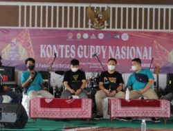 Kontes Liga Fancy Guppy Bagian Upaya Pemulihan Ekonomi Nasional
