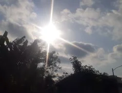 Kata Mutiara Tentang Pagi dari Tokoh Dunia yang Menginspirasi