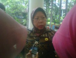 Kelola Sampah Piyungan, Pemerintah DIY Akan Kerjasama dengan Swedia