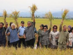 Presiden SBY Ajak Wujudkan Kemandirian Beras Nasional