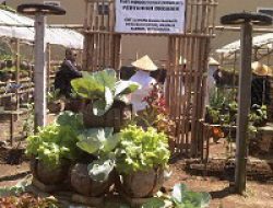 Setum Resmi Menjadi Pasar Sayuran Organik