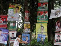 Mengirit Pengeluaran, Caleg Pilih Pasang APK di Pohon