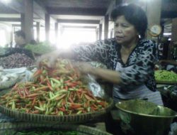Musim Hujan, Cabai Rawit Makin ‘Pedas’