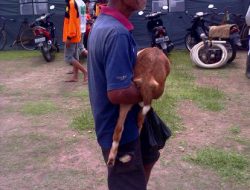 Warga Bantul Ikuti Simulasi Tanggap Bencana dengan Serius tapi Santai