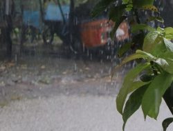 Prakiraan Cuaca DIY Hari ini, Pagi Berawan, Sore dan Malam Hujan