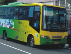 Kemenhub Belum Tentukan Nasib 20 Trans Jogja yang â€˜Nganggurâ€™