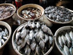 Produksi Perikanan di DIY, Defisit