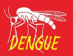 Teknologi Wolbachia dinilai Berhasil dalam Menekan Kasus Dengue di Indonesia