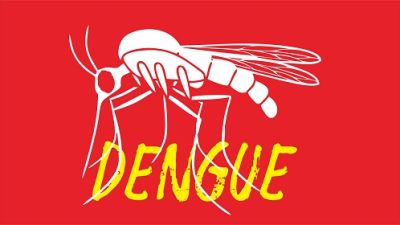 Teknologi Wolbachia dinilai Berhasil dalam Menekan Kasus Dengue di Indonesia