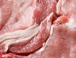PUI-PT IHIS Pastikan Kantin UGM dan Warung Sekitar Bebas Cemaran Daging Babi