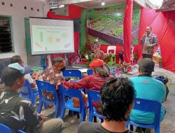 Kampung Sapen Bersiap dengan Predikat Barunya Sebagai Kampung Sayur di Kota Yogyakarta