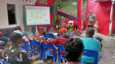 Kampung Sapen Bersiap dengan Predikat Barunya Sebagai Kampung Sayur di Kota Yogyakarta