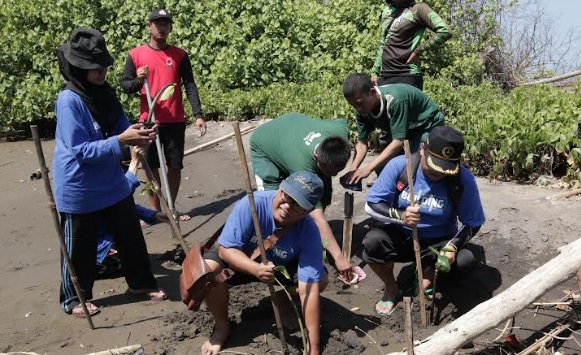 Memperingati Hari Keanekaragaman Hayati se-Dunia pada tanggal 22 Mei, SMK Negeri 3 Yogyakarta Shodaqoh Tanaman Mangrove di Kawasan Pantai Baros, Bantul. Foto: Ist