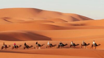 Gurun sahara adalah salah satu gurun paling berbahaya untuk dikunjungi. Foto: ist