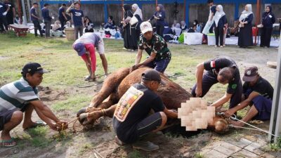 Proses pemotongan hewan kurban di Gis 3 Jogja. Tahun ini GIS 3 Jogja Kurban 52 Kambing dan 3 Sapi Hasil Tabungan Kurban Siswa. Foto: Kemal/Humas Gis 3 Jogja.
