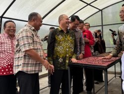 Hadiri Panen Perdana Kopi Lereng Merapi Pemkab Sleman, Sri Sultan HB X Apresiasi PT Taru Martani yang Siap Menyerap dan Turut Memasarkan