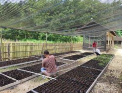 Rumah Bibit Cerdas Gombang, Sinergi PLN EPI, Keraton dan Warga Wujudkan Desa Berdaya