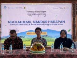 Dari Batubara Jadi Pembenah Tanah, Inovasi Gamahumat dari UGM