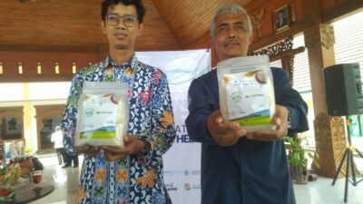 Gamagora 7, Padi Unggul Dari UGM untuk Hadapi Perubahan Iklim