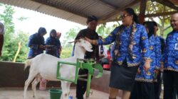 Peresmian Kampung Ternak Purba Nglanggeran Dorong Peternakan dan Agrowisata