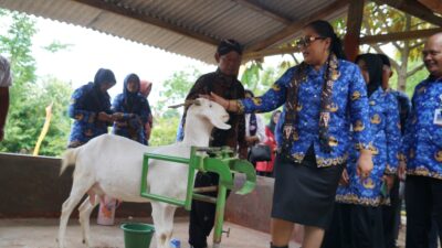 Peresmian Kampung Ternak Purba Nglanggeran Dorong Peternakan dan Agrowisata
