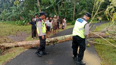 Sigap! Polisi Evakuasi Pohon Tumbang dan Rumah Warga Rusak Akibat Hujan Angin Terjang Kaligondang