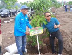 Kebun Kelengkeng Itoh Super Hadir di Wedomartani, Tawarkan Wisata Edukasi dan Sistem Petik Sendiri