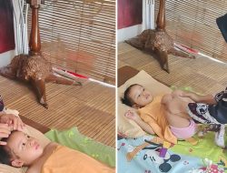 Prihatin Kasus Daycare Little Aresha, Terapis di Yogyakarta Gelar Pijat Bayi Gratis Pulihkan Trauma