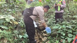 Anjing Pelacak K9 Dikerahkan Cari Lansia Hilang di Hutan Purbalingga