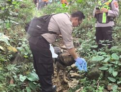 Anjing Pelacak K9 Dikerahkan Cari Lansia Hilang di Hutan Purbalingga